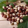 American Hazelnut Filbert -Foliagez Sales American Hazelnut FGT 600x600 d015e01b c4d6 4c82 8311 7588dd611154