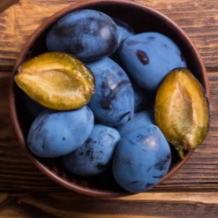 Brooks Plum Tree 11 Brooks Plum Tree -Foliagez Sales Brooks Plum 2