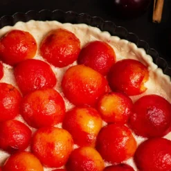 Bubblegum 'Toka' Plum Tree -Foliagez Sales Bubblegum Toka Plum 3