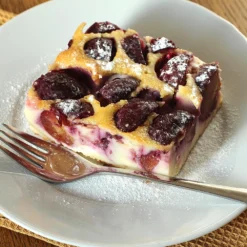 Burgundy Plum Tree -Foliagez Sales Burgundy Plum 3