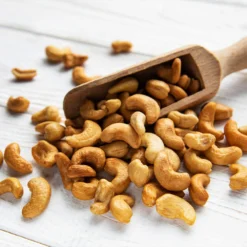 Cashew Tree 12 Cashew Tree -Foliagez Sales Cashew Nut Tree 5