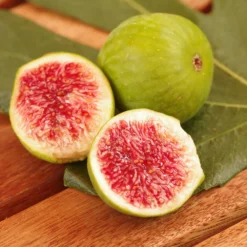 Best Seller -Foliagez Sales DEsert King FIg 2