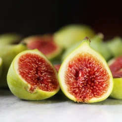 Desert King Fig Tree 9 Desert King Fig Tree -Foliagez Sales DEsert King FIg 3