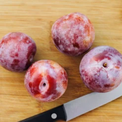 Dapple Dandy Pluot Tree -Foliagez Sales Dapple Dandy 2