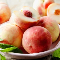 Early White Giant Peach Tree 7 Early White Giant Peach Tree -Foliagez Sales Early White Giant Peach Tree 450 D1