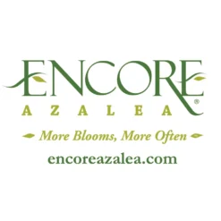Autumn Embers® Encore® Azalea -Foliagez Sales Encore Logo 1000x1000 1adc0cf2 16e4 49a6 9093 928a385a7d6f