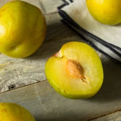 Flavor Queen Pluot® -Foliagez Sales Flavor Queen Pluot 2