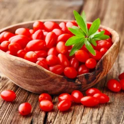 Goji Berry -Foliagez Sales Goji Berry 4