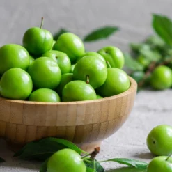 Green Gage Plum -Foliagez Sales Green Gage Plum 2