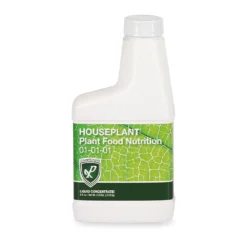 Sunset Hues House Plant Kit -Foliagez Sales Growscripts Liquid Houseplants 0b7c615b 71d2 4e70 b858 ed5dc3912eb9