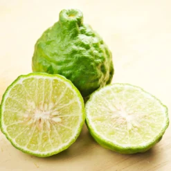 Kaffer 'Kieffer' Lime Tree -Foliagez Sales Kaffir Lime 7 FGT