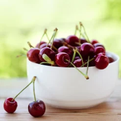 Lapins Cherry Tree 8 Lapins Cherry Tree -Foliagez Sales Lapins Cherry Tree 2 FGT 325a18e6 7143 4729 a41b b0d9614909b8