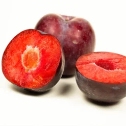 Methley Plum Tree 11 Methley Plum Tree -Foliagez Sales Methley Plum 3 6230ed7a 5c4e 4b03 88d0 ad8f75f62363