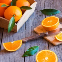 Midknight Valencia Orange 10 Midknight Valencia Orange -Foliagez Sales MidKnight Orange 3 FGT