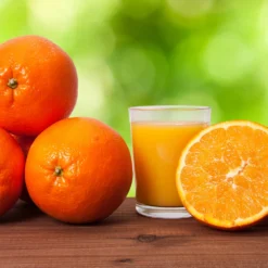 Midknight Valencia Orange 11 Midknight Valencia Orange -Foliagez Sales MidKnight Valencia Orange 3