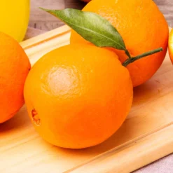 Navel Orange Tree - USDA Organic 11 Navel Orange Tree - USDA Organic -Foliagez Sales Navel Orange 2 FGT 14629529 59ec 469f 9eb9 2f95d6d1513b