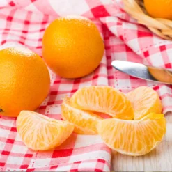 Navel Orange Tree - USDA Organic 12 Navel Orange Tree - USDA Organic -Foliagez Sales Navel Orange 5 8b57e9ba 4f7d 47a5 b512 a850be2da2b3