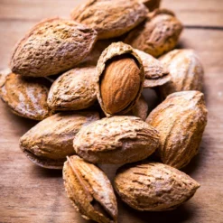 Nonpareil Almond Tree -Foliagez Sales Nonpareil Almonds 3