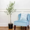 Oliana Olive Tree -Foliagez Sales Oliana Olive 600x600 6f3a3c9f e168 44ff aa92 eb7e474a89dc