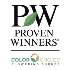 Fruit Punch® ‘Maraschino’ Dianthus -Foliagez Sales PW Logo CC 1000x1000 cc8aeffe 0d24 4712 8a44 2d61b17529ba