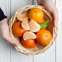 Page Mandarin Tree 9 Page Mandarin Tree -Foliagez Sales Page Mandarin Tree 2 FGT