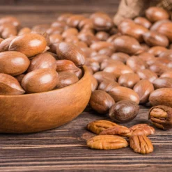 Pawnee Pecan Tree -Foliagez Sales Pawnee Pecan 4 FGT