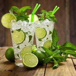 Persian 'Bearss' Lime Tree - USDA Organic -Foliagez Sales Persian Lime Tree 4 FGT 3e2376b1 dd45 4777 a1e5 8c0e252ea773