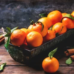 Pixie Mandarin Tree 9 Pixie Mandarin Tree -Foliagez Sales Pixie Mandarin Tree 3