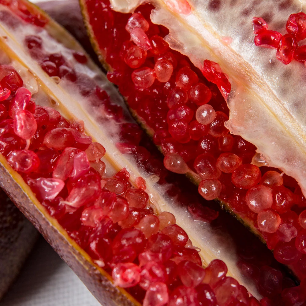 Red Finger Lime Tree 7 Red Finger Lime Tree - Image 5