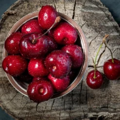 Santina™ Cherry Tree -Foliagez Sales Santina Cherry 1