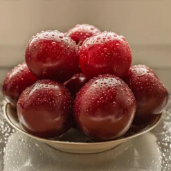 Satsuma Plum Tree -Foliagez Sales Satsuma Plum 3