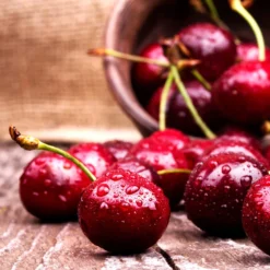 Skeena Cherry Tree 7 Skeena Cherry Tree -Foliagez Sales Skeena Cherry 4 FGT