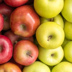 3-in-1 Apple Surprise Tree 8 3-in-1 Apple Surprise Tree -Foliagez Sales Surprise Apple 1 9111e7d8 7d95 445c 88ac 8ea14a2ebb53