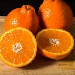 Tangelo Tree -Foliagez Sales Tangelo 3 FGT