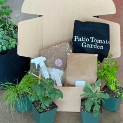 Patio Tomato Garden -Foliagez Sales Tomato Garden kit 2