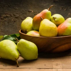 Warren Pear Tree -Foliagez Sales Warren Pear Tree 1