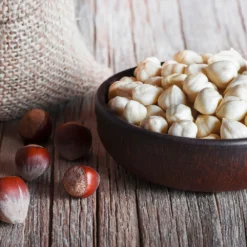 York Filbert Hazelnut -Foliagez Sales York Hazelnut 5